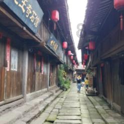 小猫钓鱼游戏龙王版有船